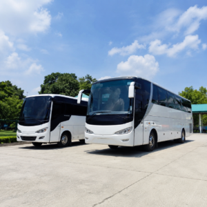 Perbedaan Medium Bus dan Big Bus