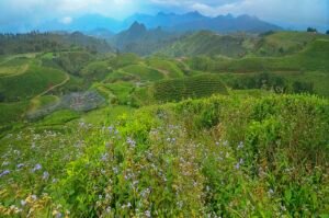 Rute perjalanan makassar ke malino
