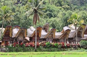 11 Tips Liburan ke Toraja dari Makassar